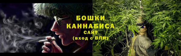 сатива Бердск